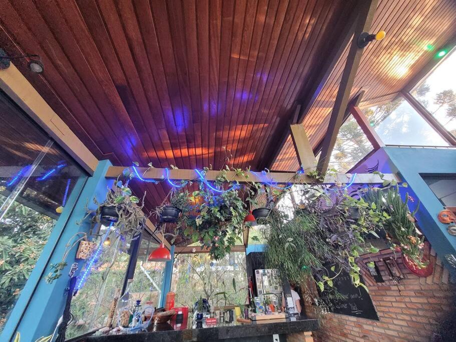 Casa completa próxima a Ouro Preto! Amarantina