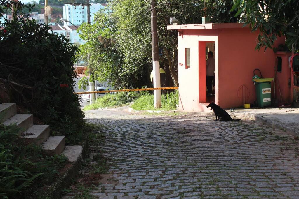 Sparadise a natureza em harmonia com tecnologia