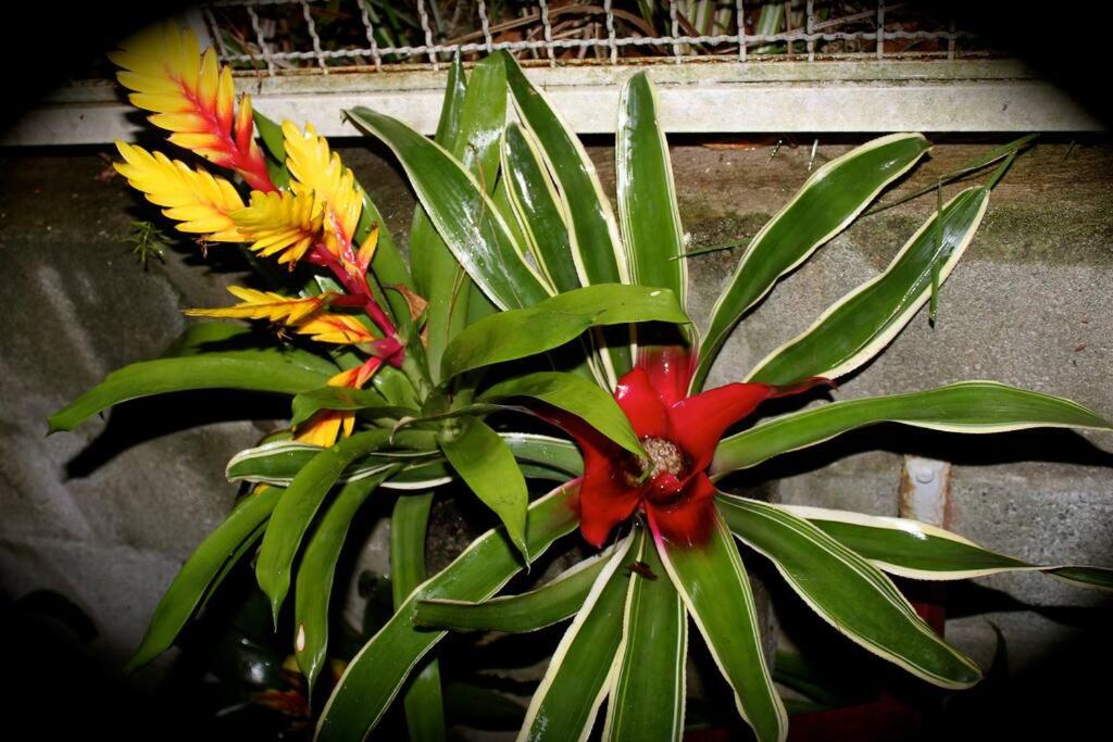 Sparadise a natureza em harmonia com tecnologia