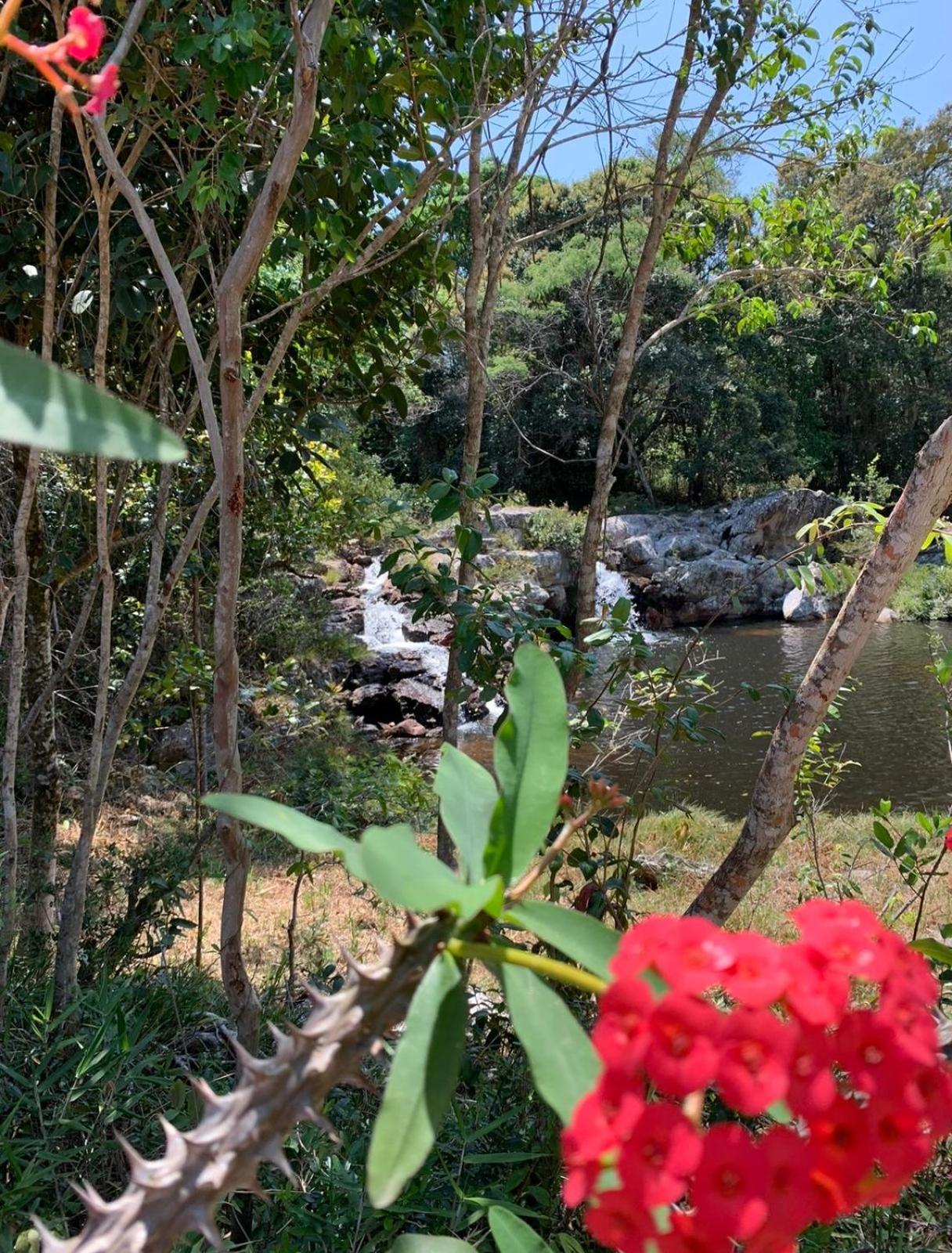Reserva do Bosque Hospedaria e Natureza