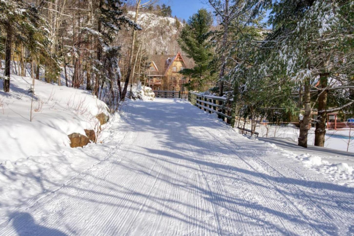 TRUE ski inout - large heated pool in summer!
