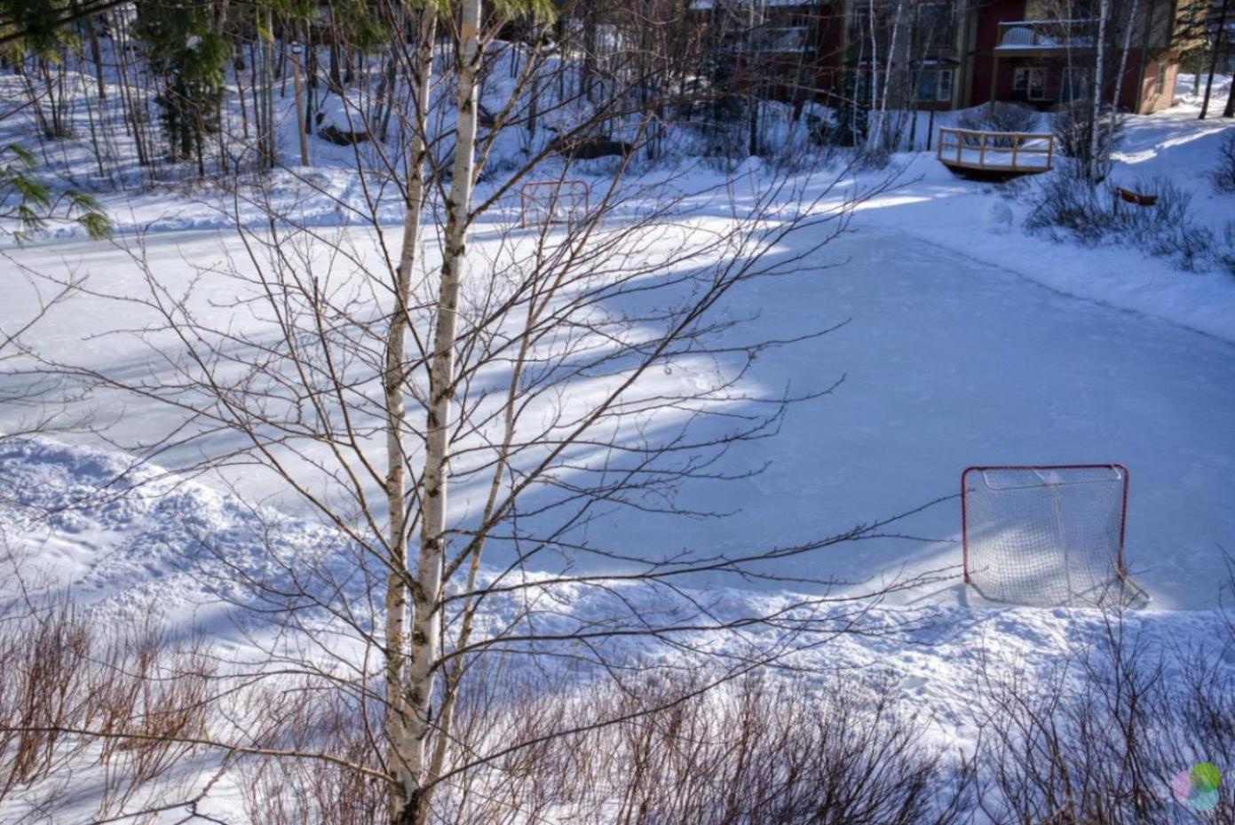 TRUE ski inout - large heated pool in summer!