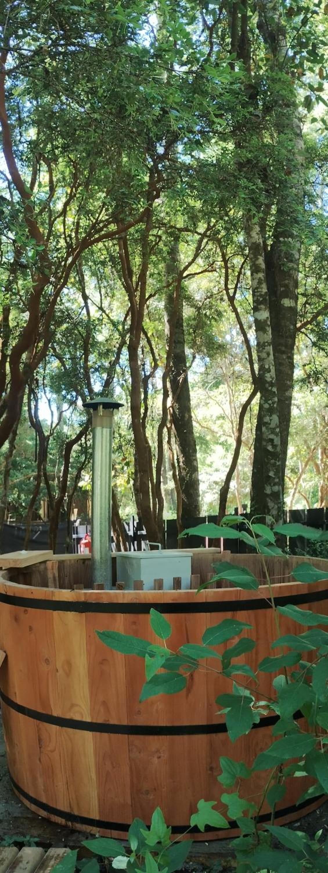 Tree lodge molco