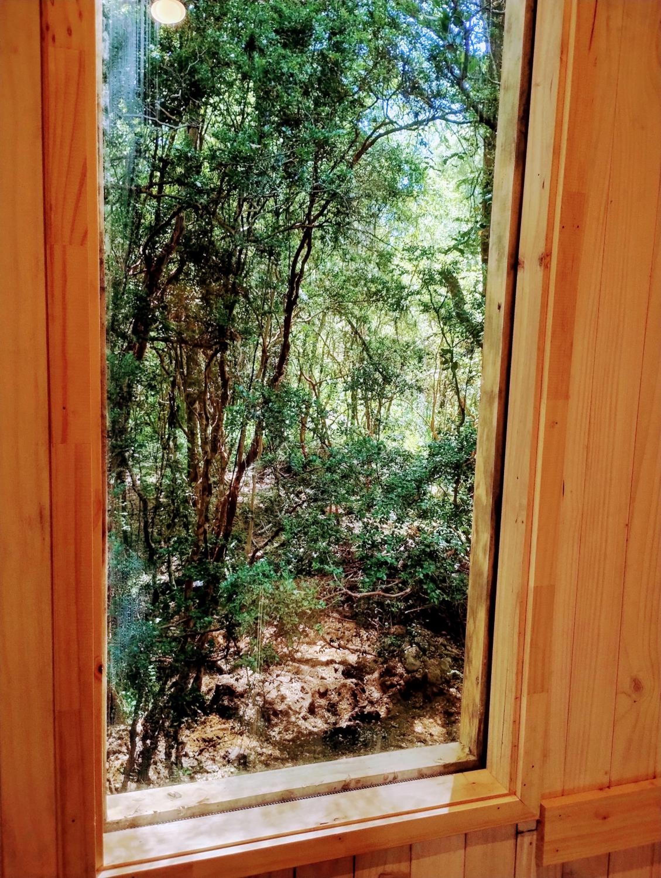 Tree lodge molco