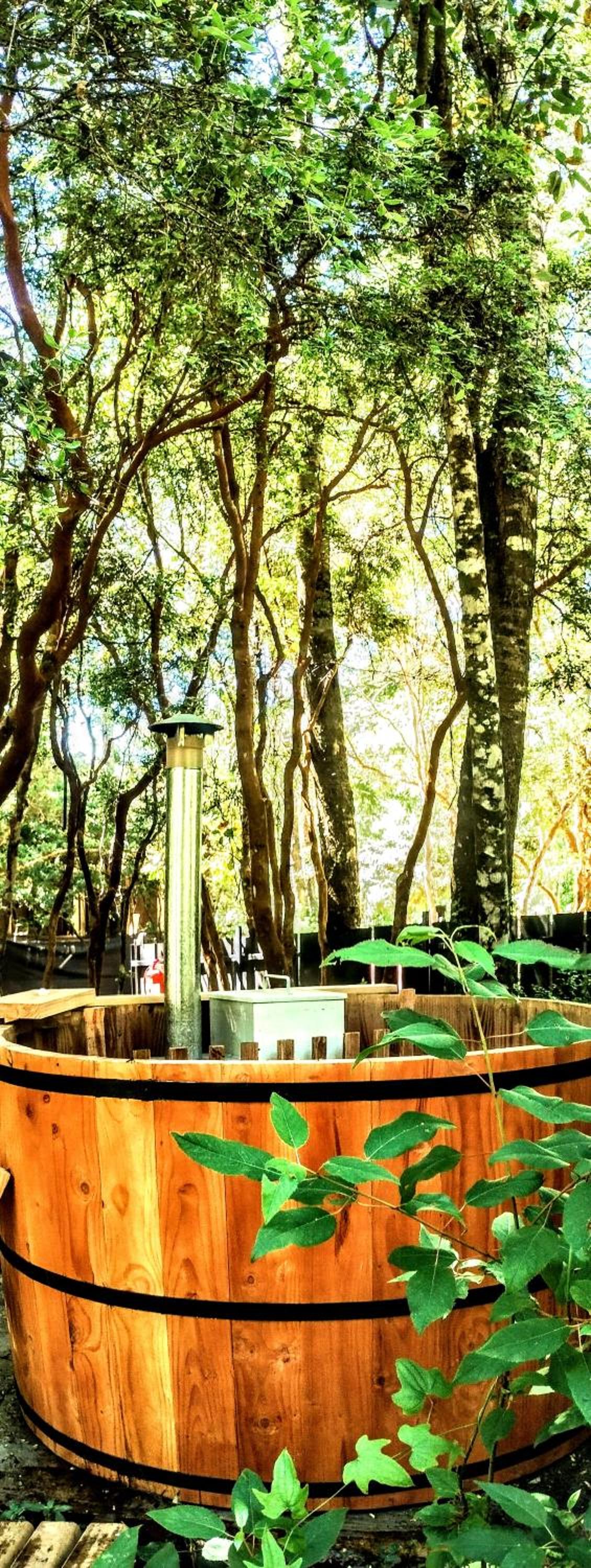Tree lodge molco