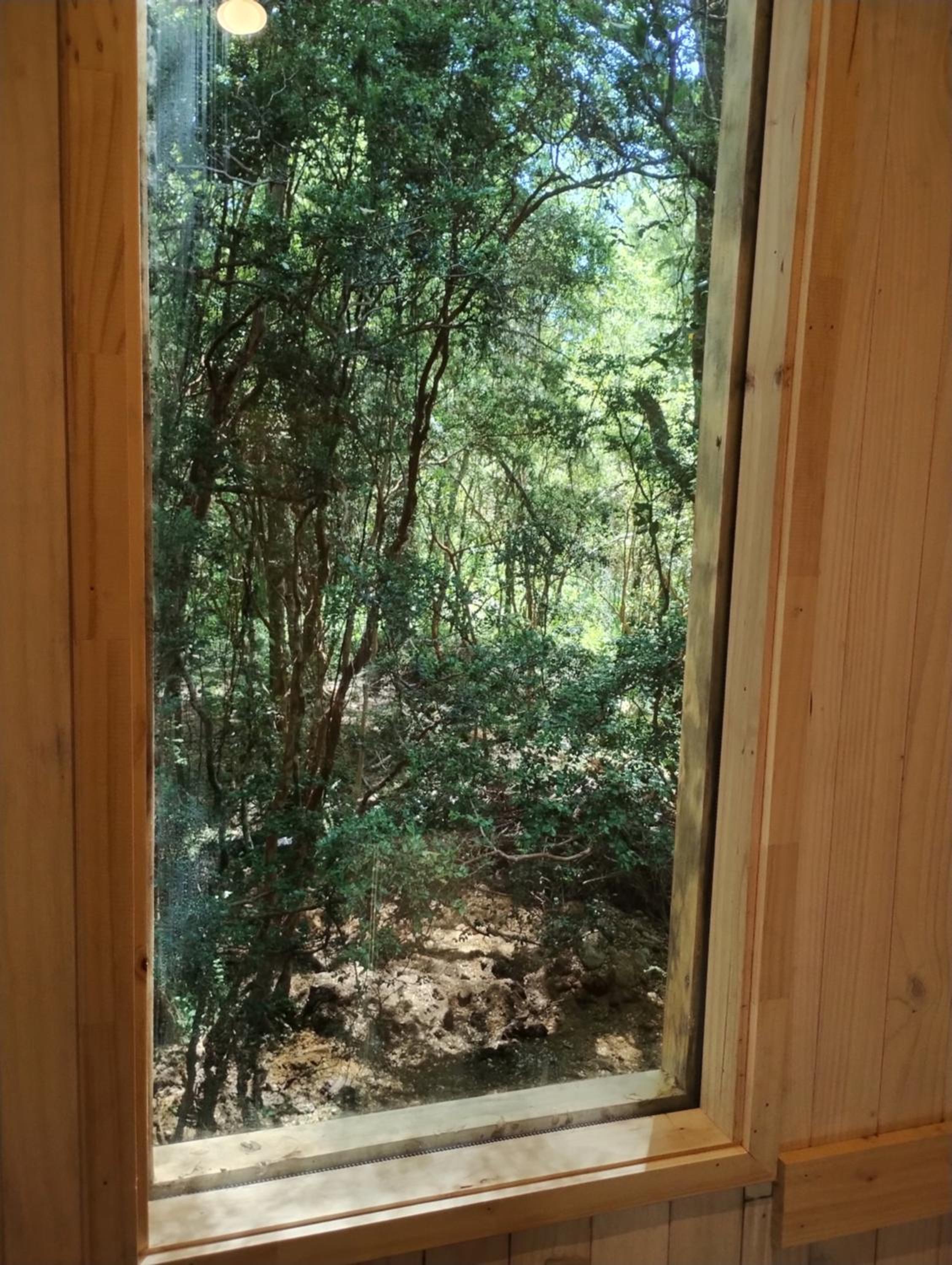 Tree lodge molco