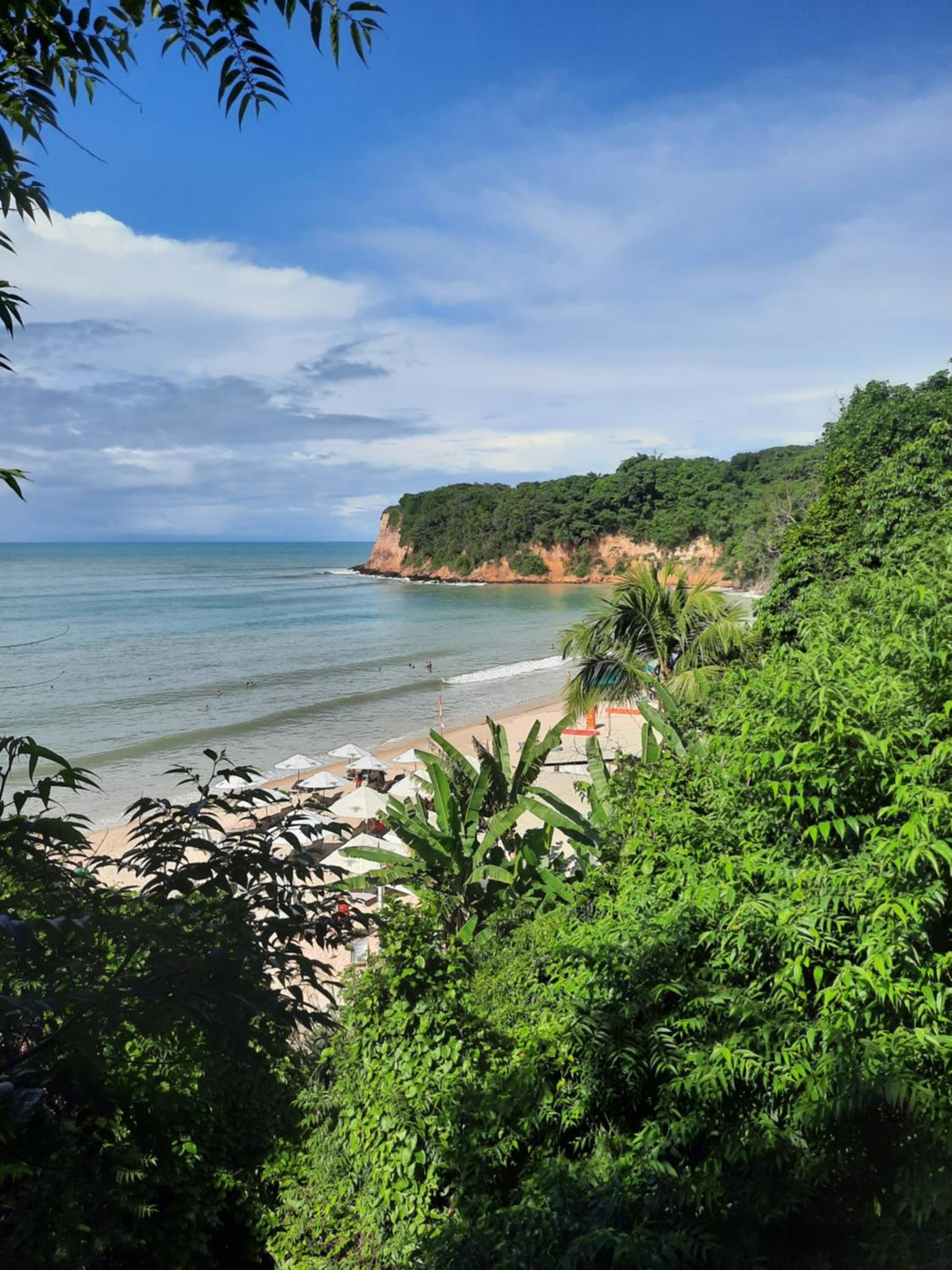 Casas Pipa Brasil