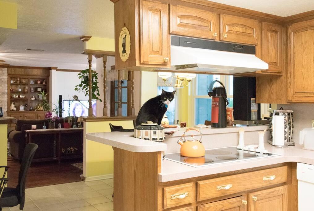 2 room luxury suite near airport & The Woodlands view 5