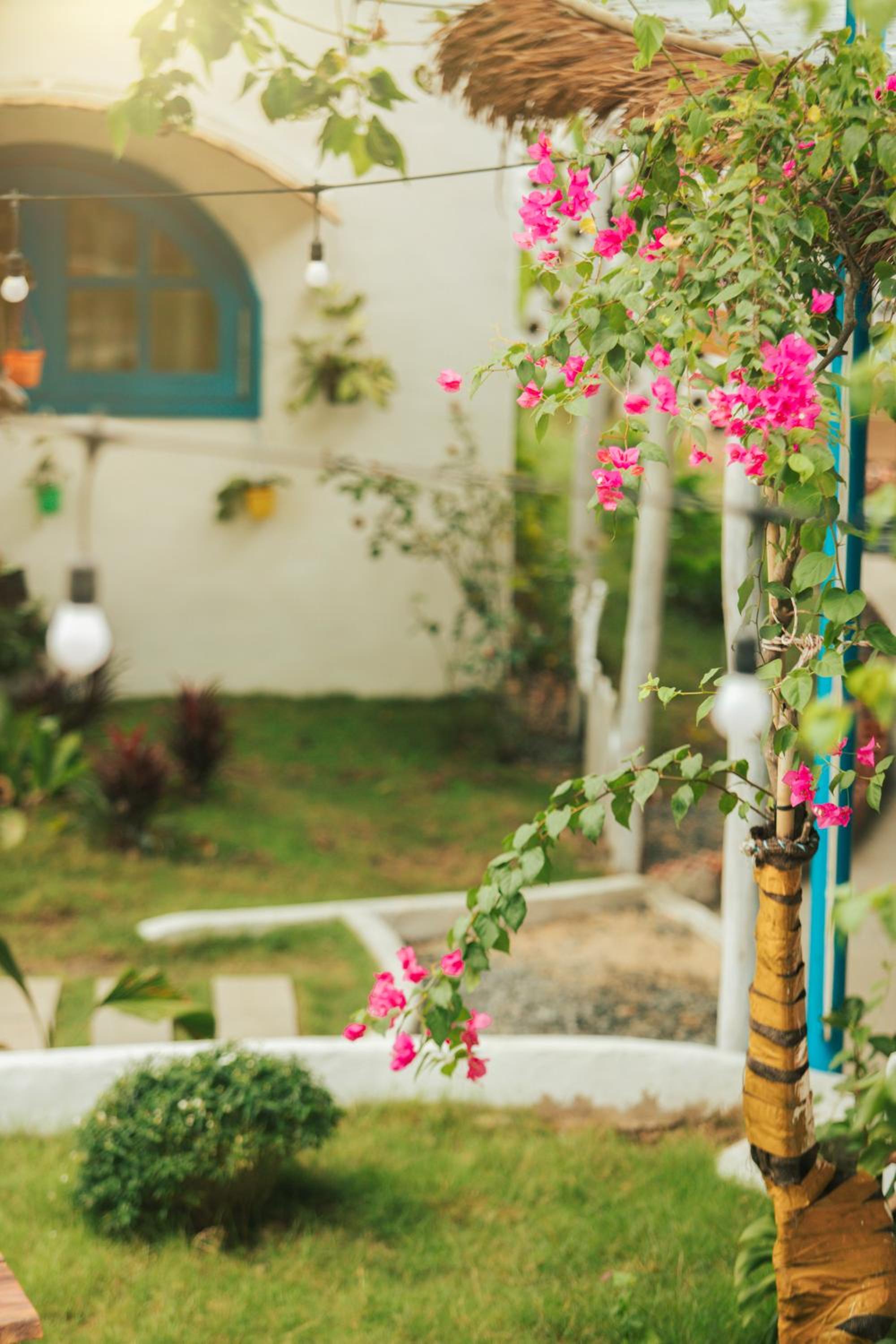LalaGigi Homestay & Coffee