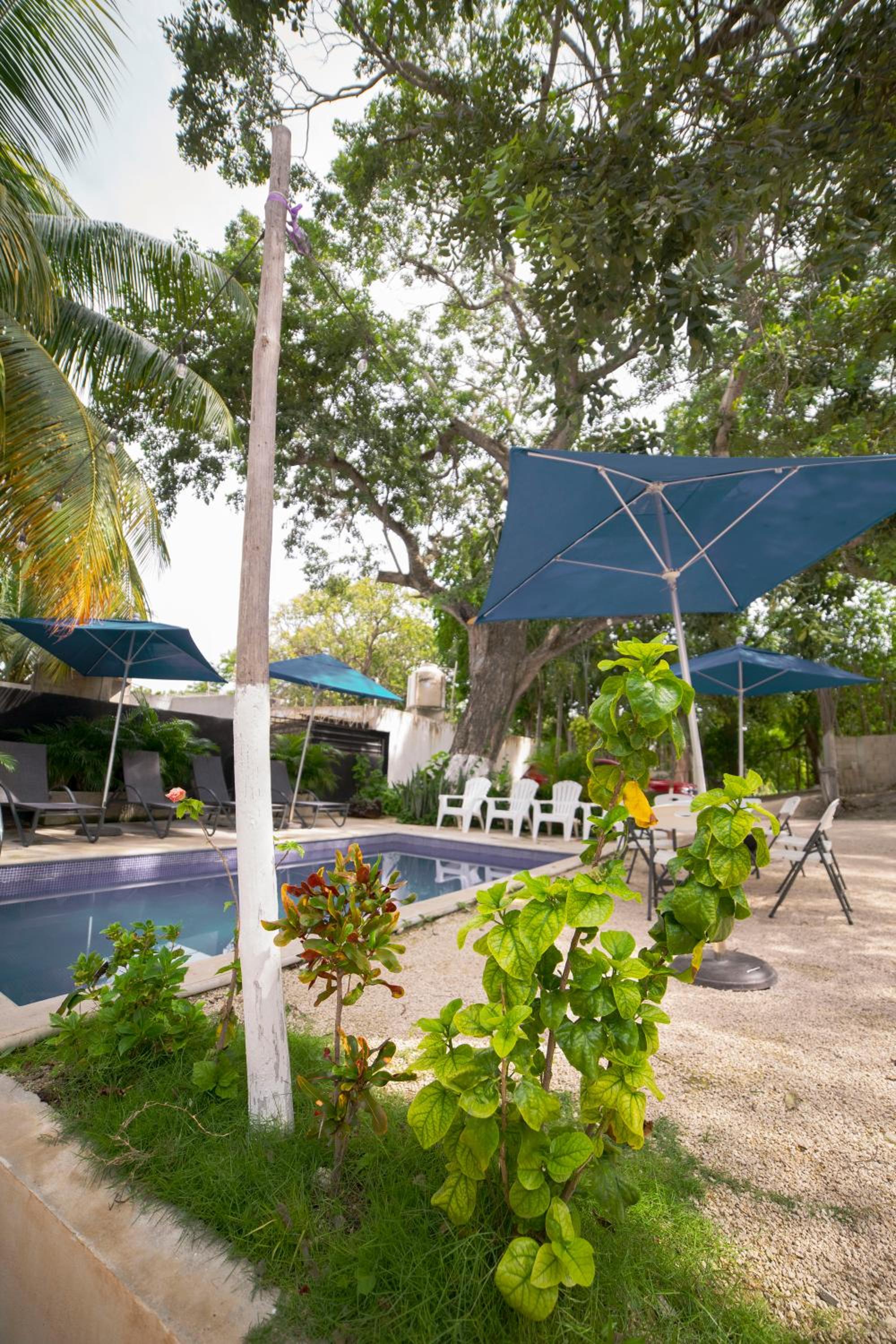 Habitación cedro