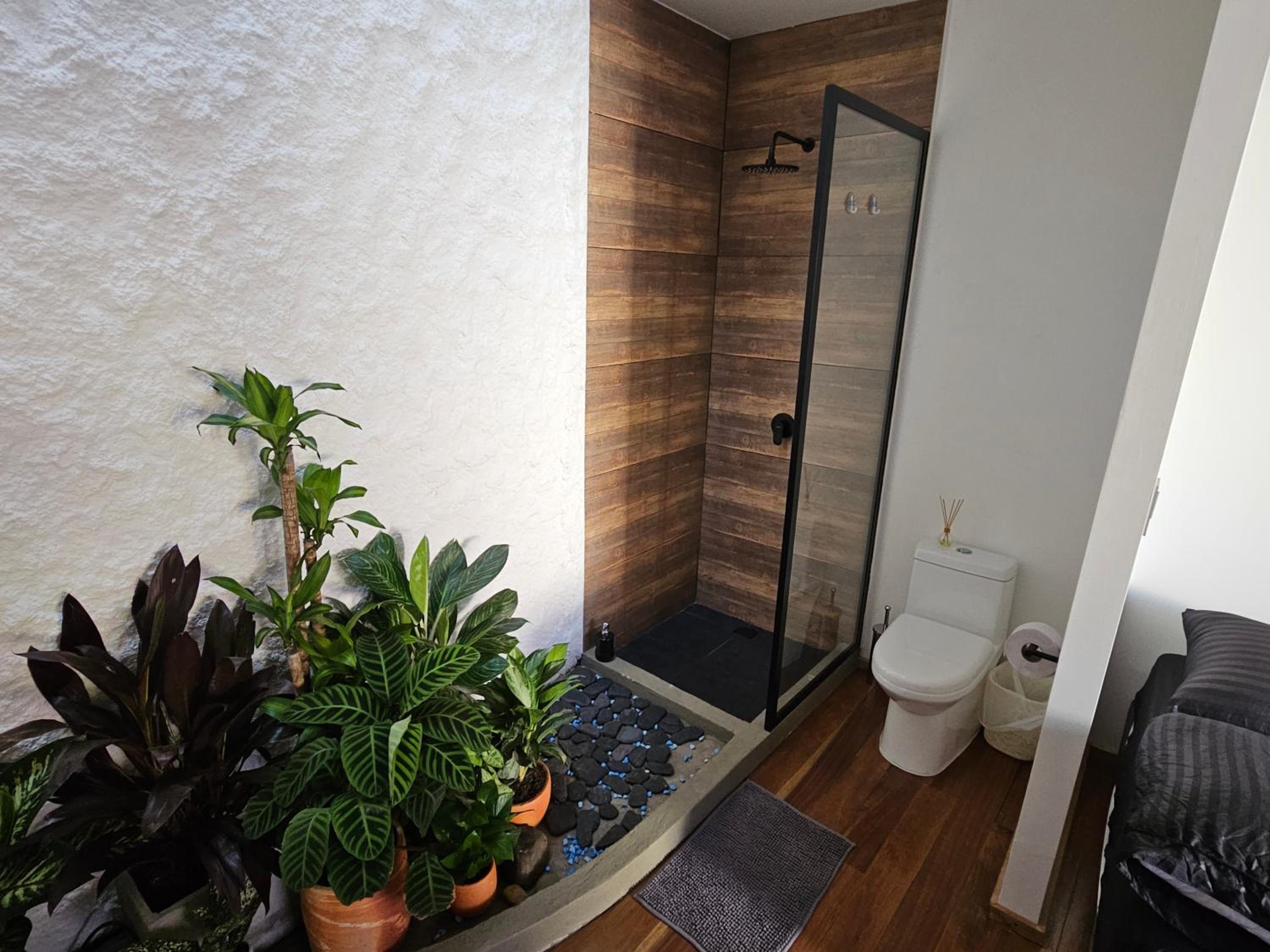 Casa Alba