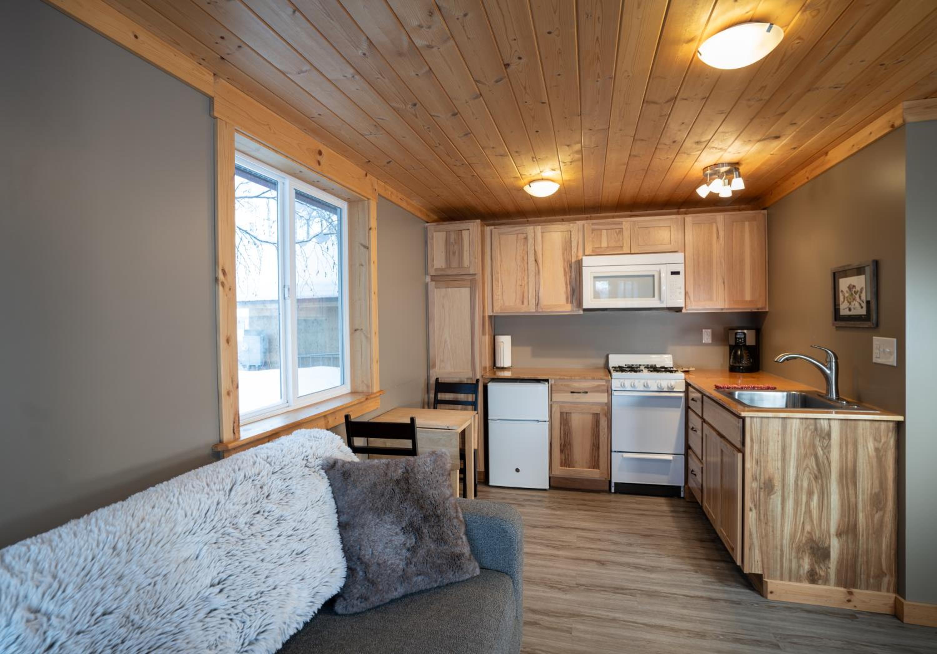 Downtown Talkeetna Cabin! Susitna Cabin view 4