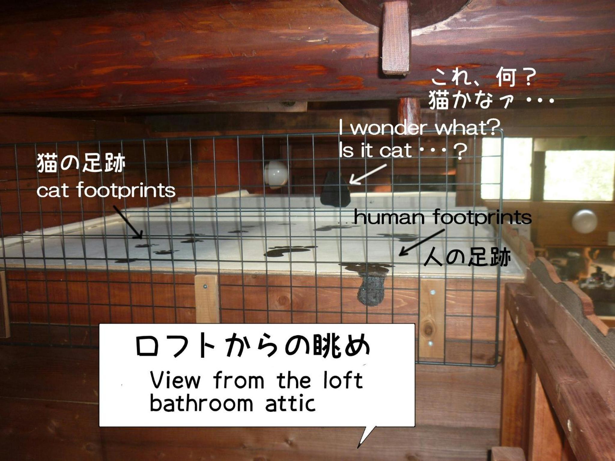 human