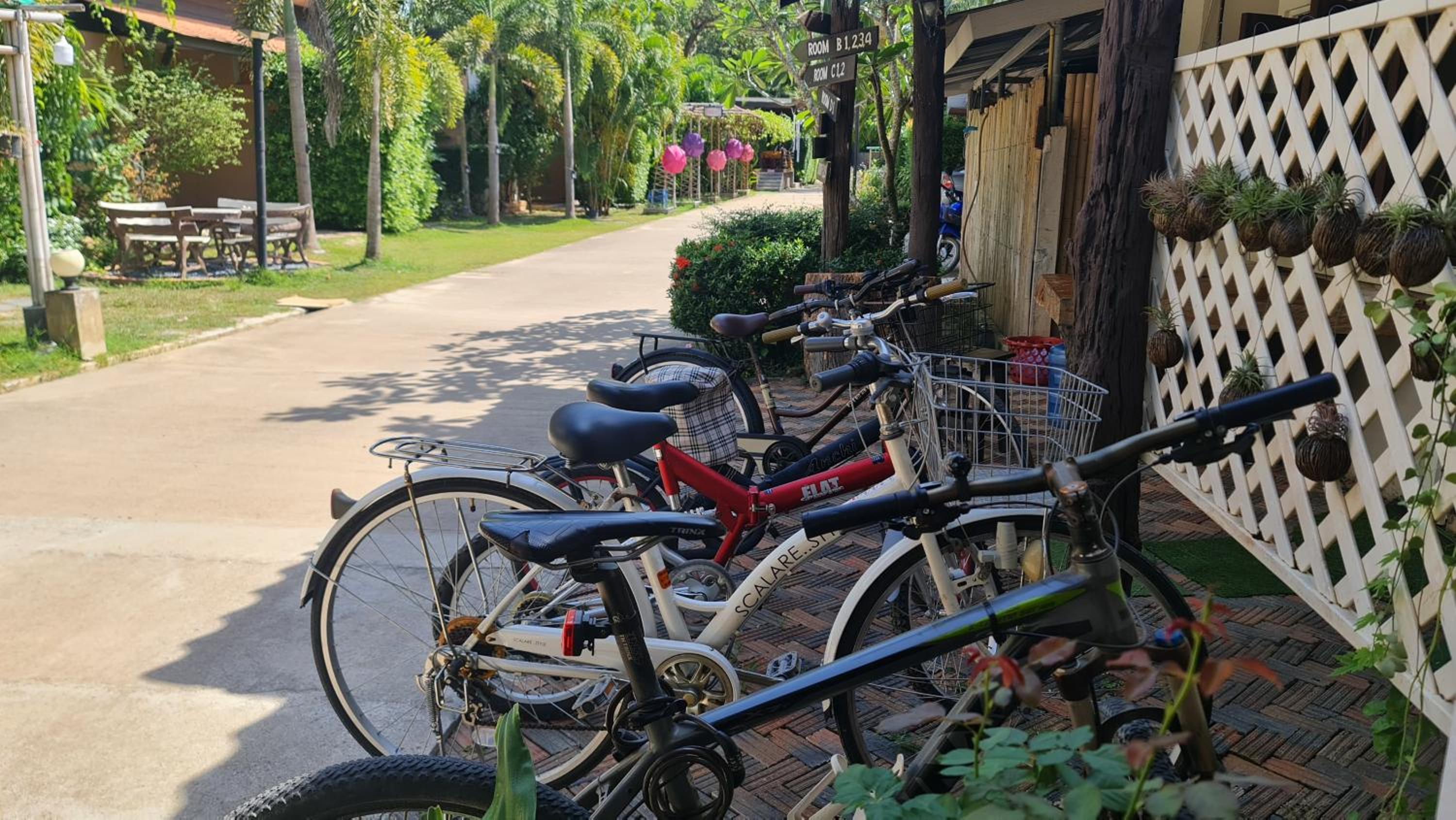 activities & amenities