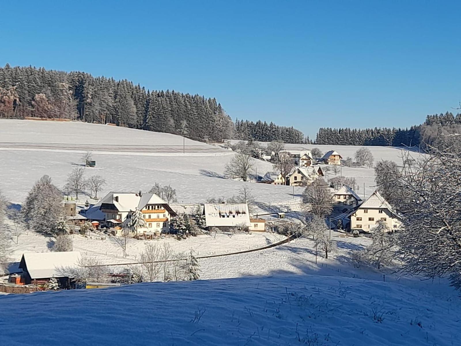Dischhof