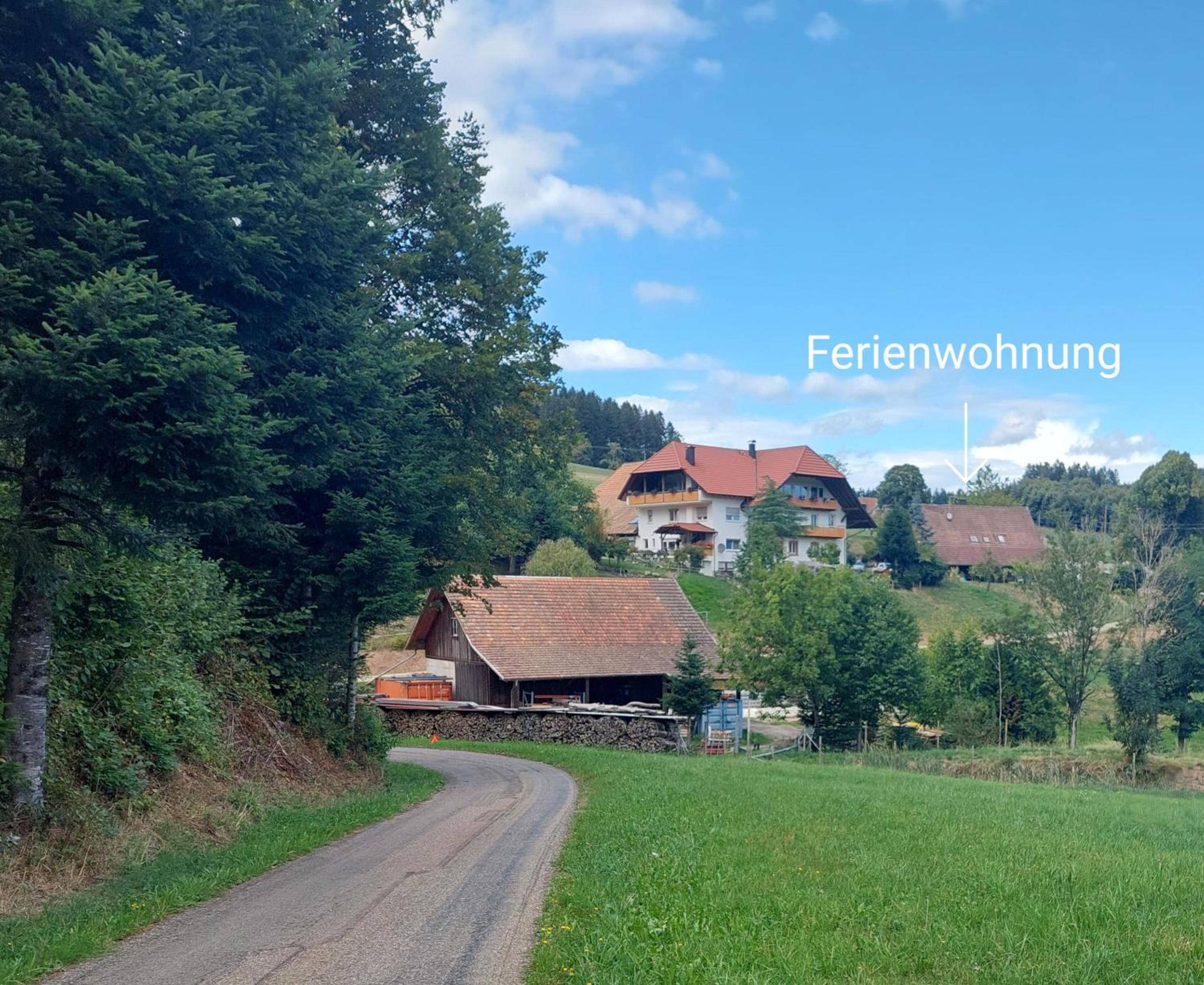 Dischhof