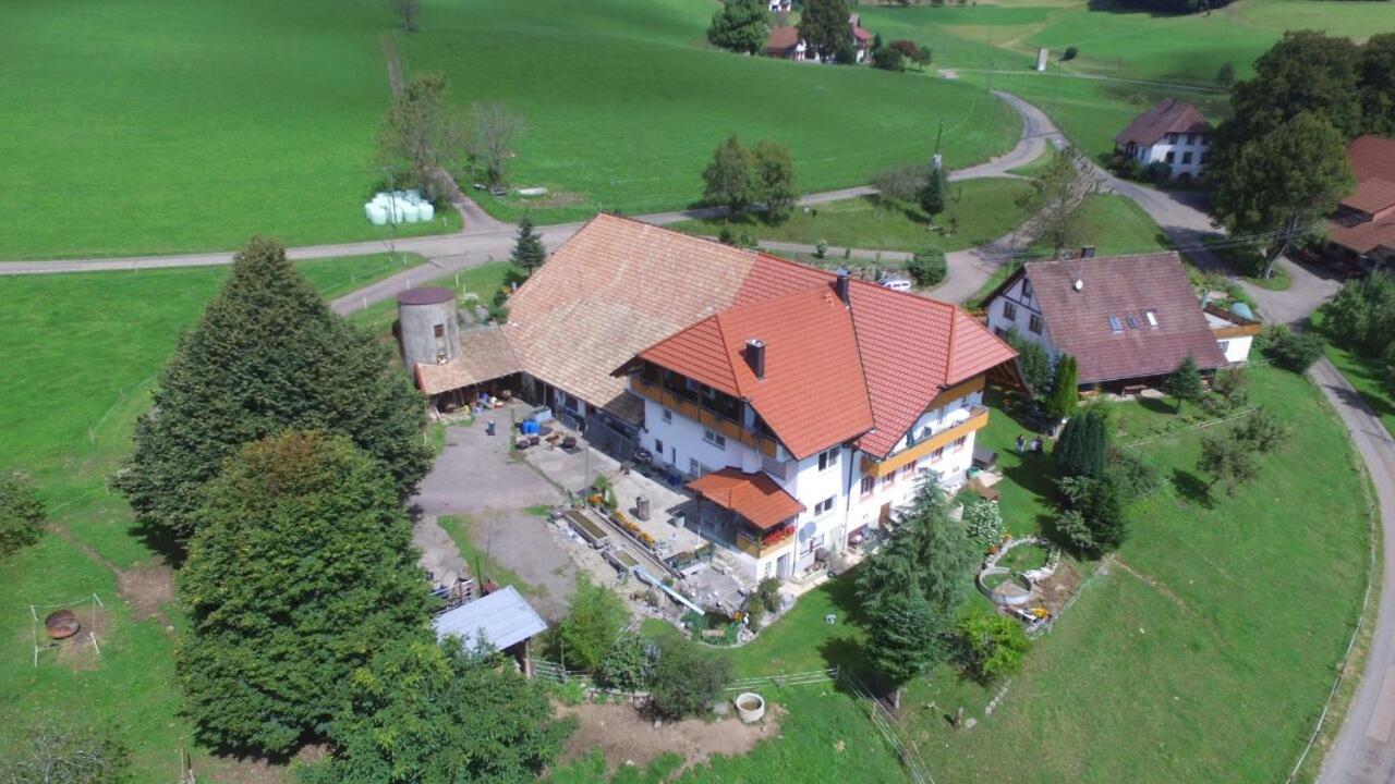 Dischhof