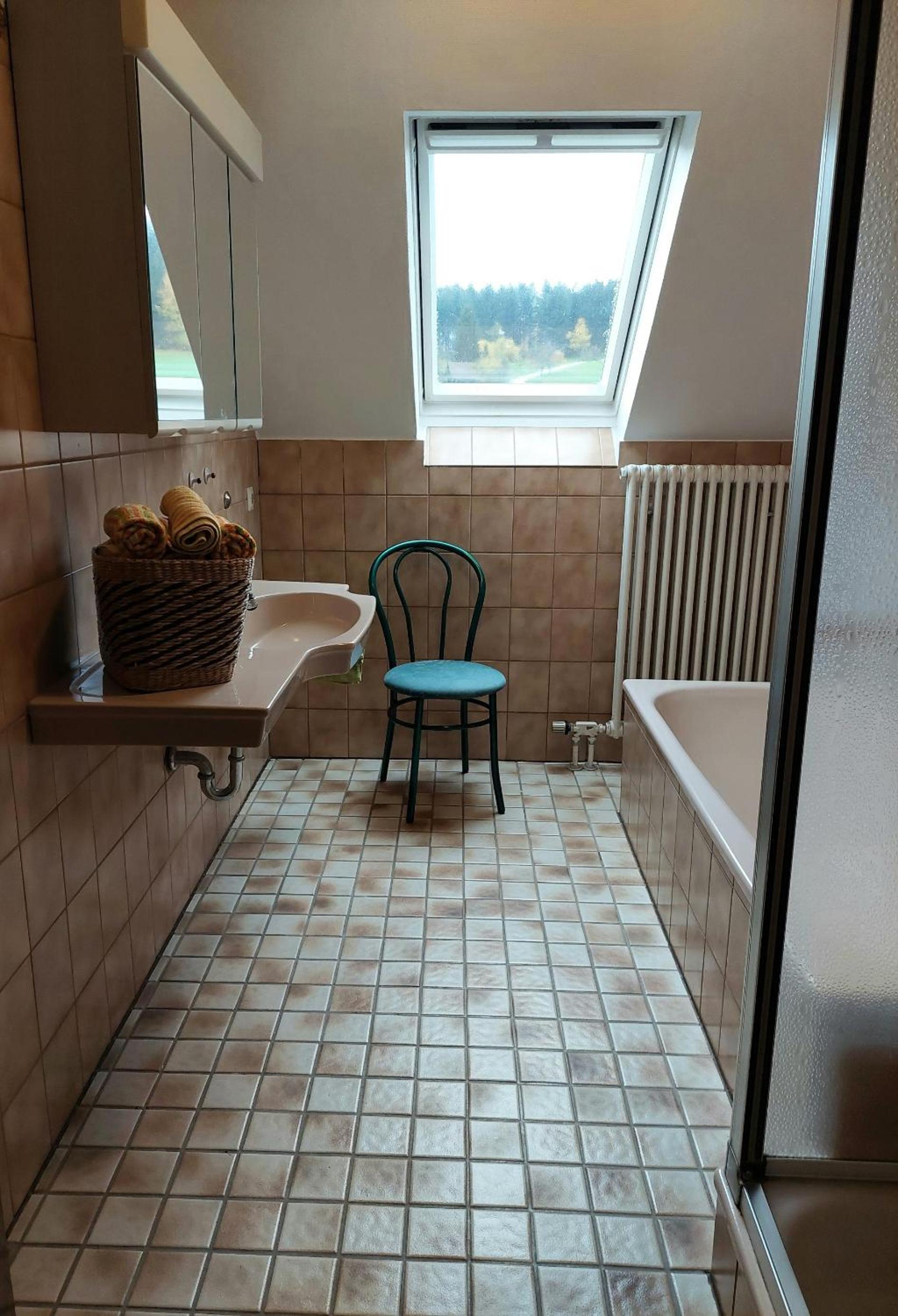 Dischhof