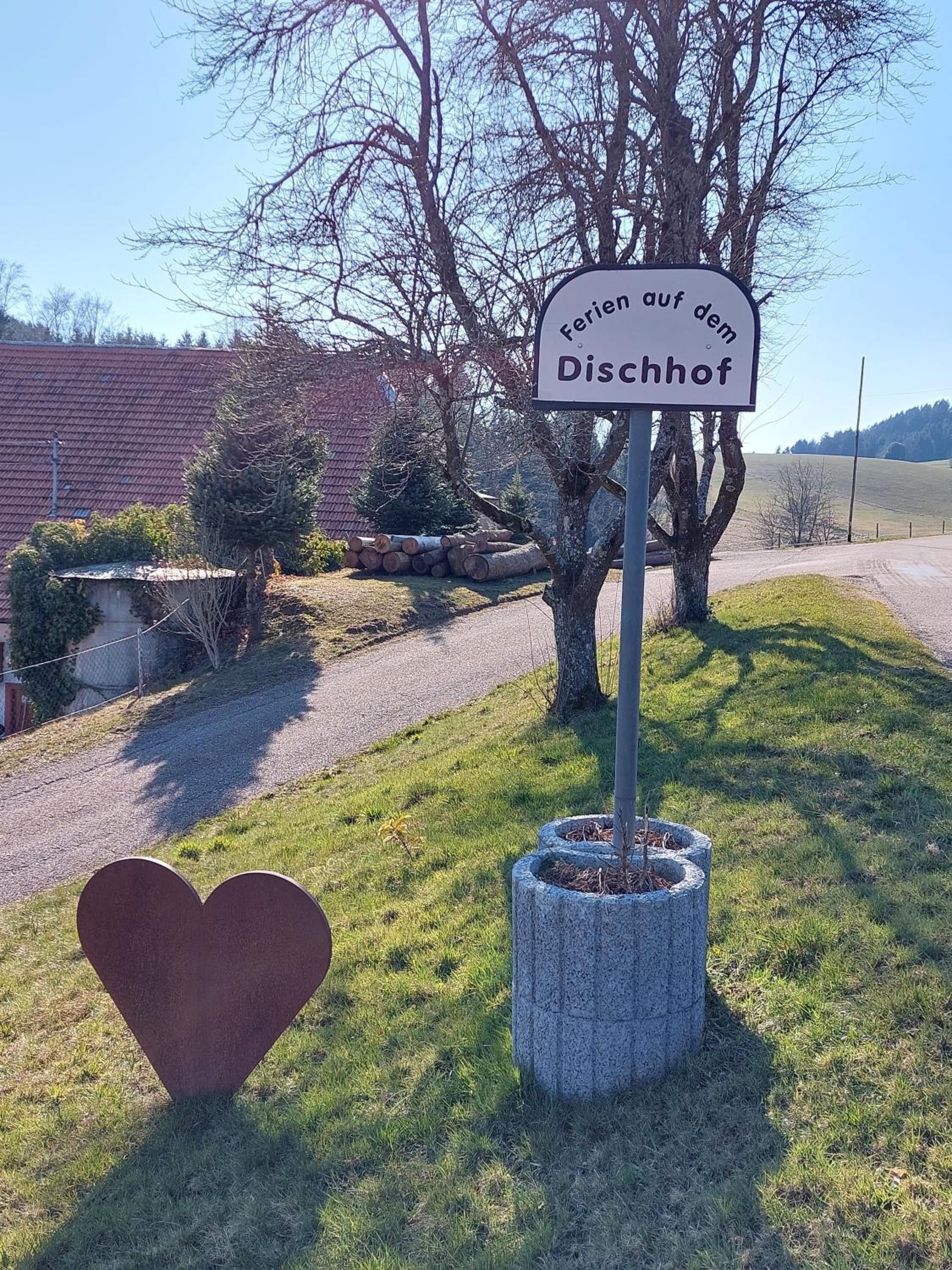 Dischhof