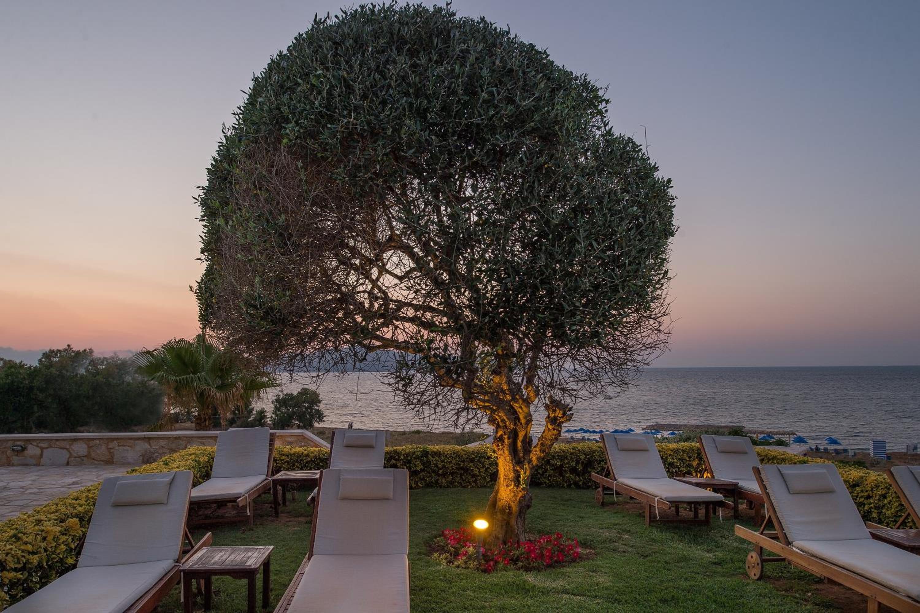 Cretan Dream Resort & Spa view 3