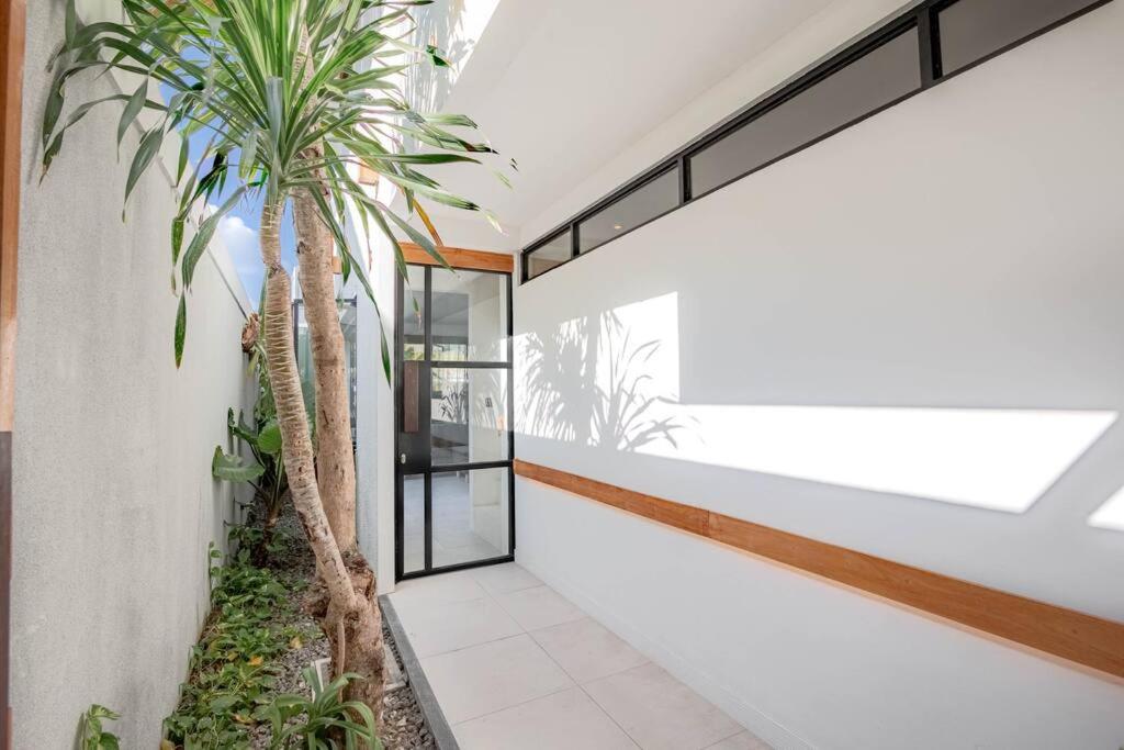 Town House CAMY