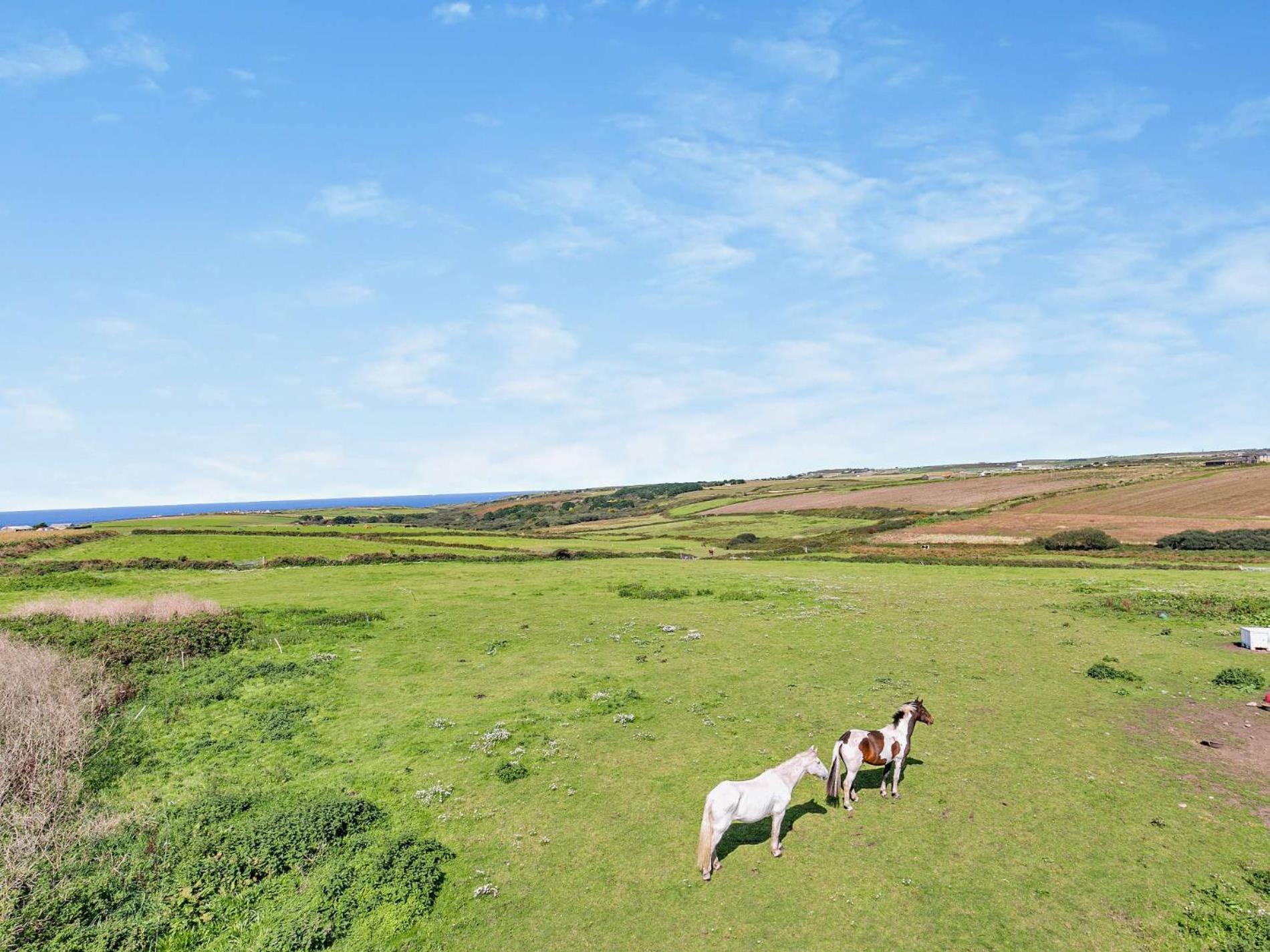 1 Bed in Penzance oc-henst view 2