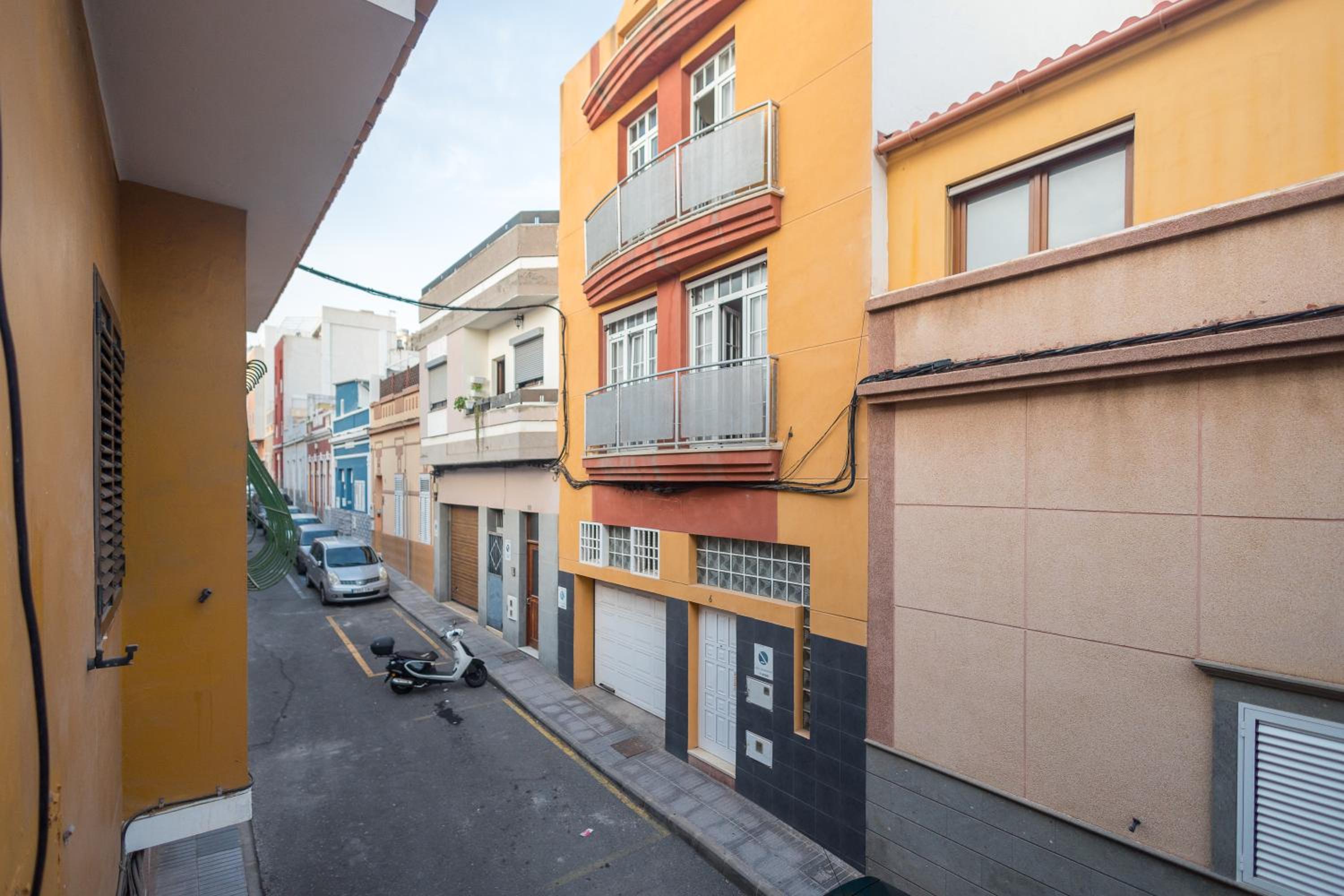 Estudio nuevo en la isleta