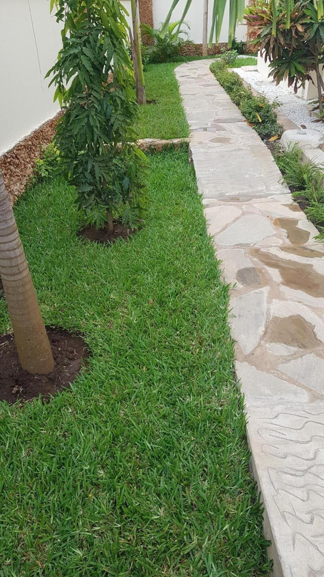 Pendo Tranquil villas view 5