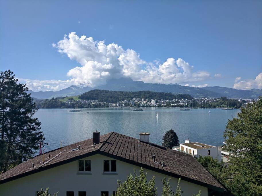 Charming house with a lake view