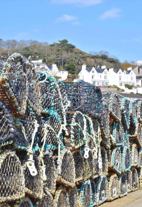 Isfryn, holiday home in Aberdyfi
