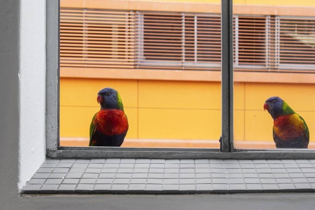BEST Location! Darlinghurst Studio - balcony - AC