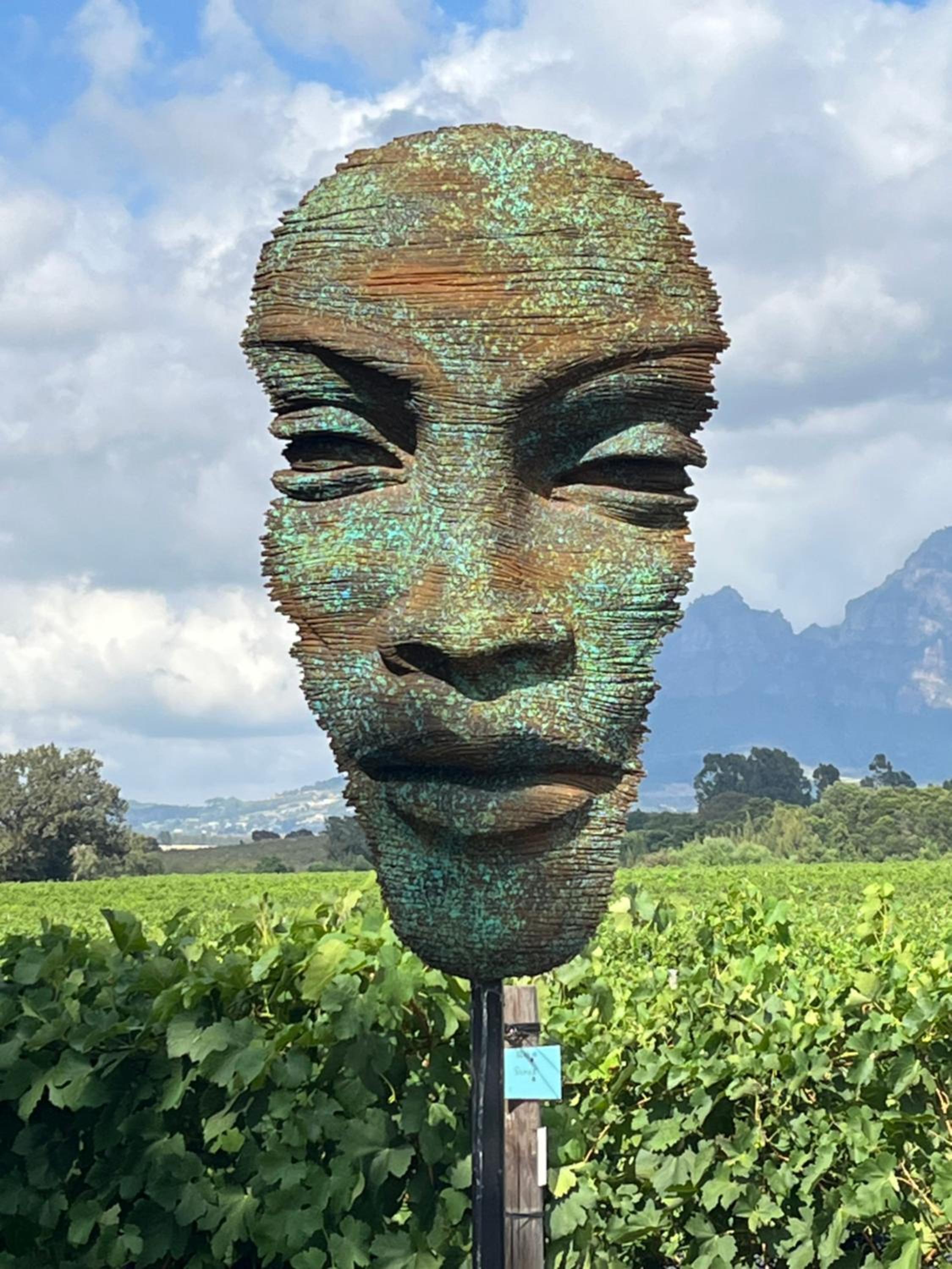 Lynx Wine Estate