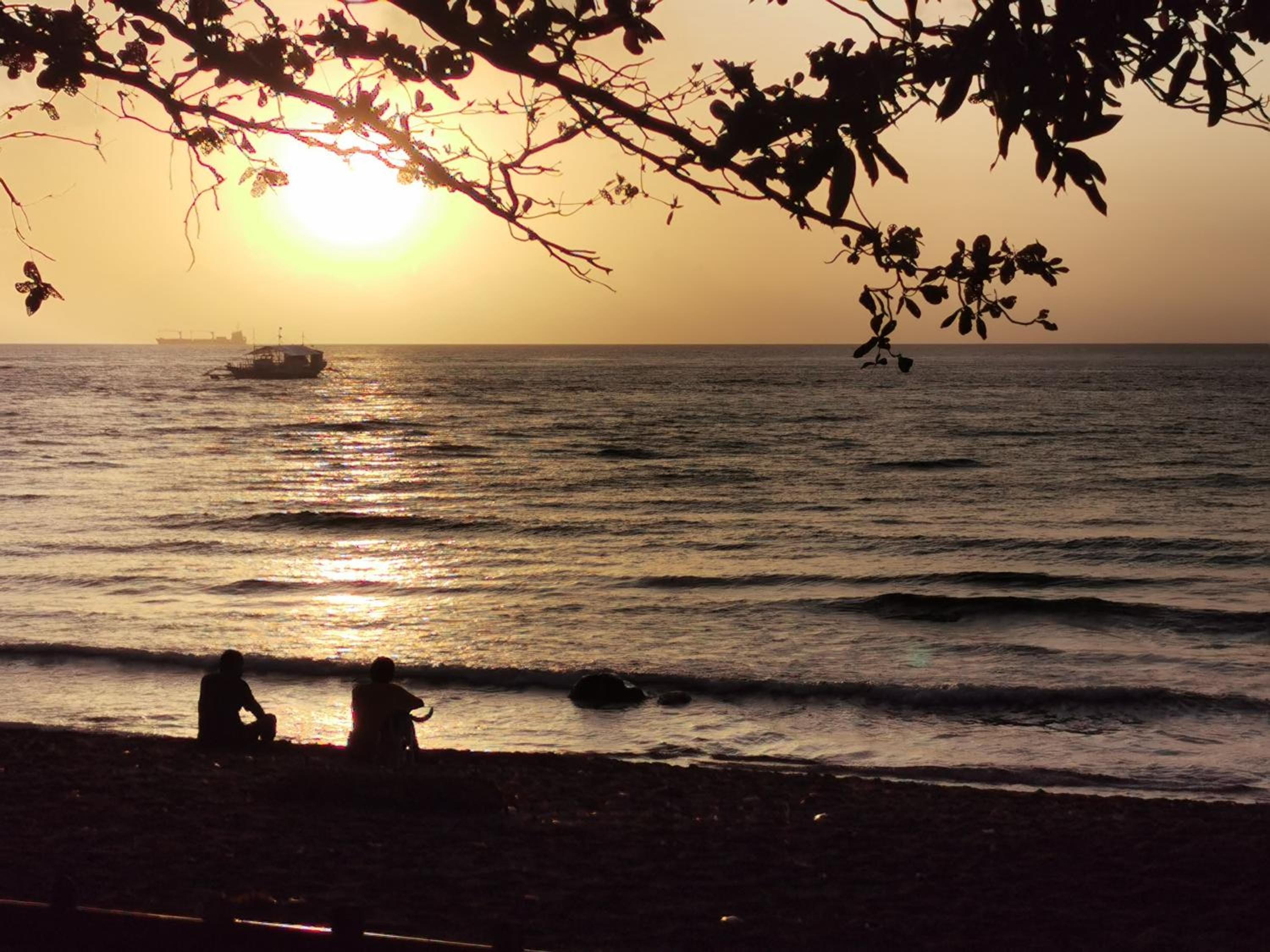 Beachfront Glamping Dome Dauin Bamboo Style