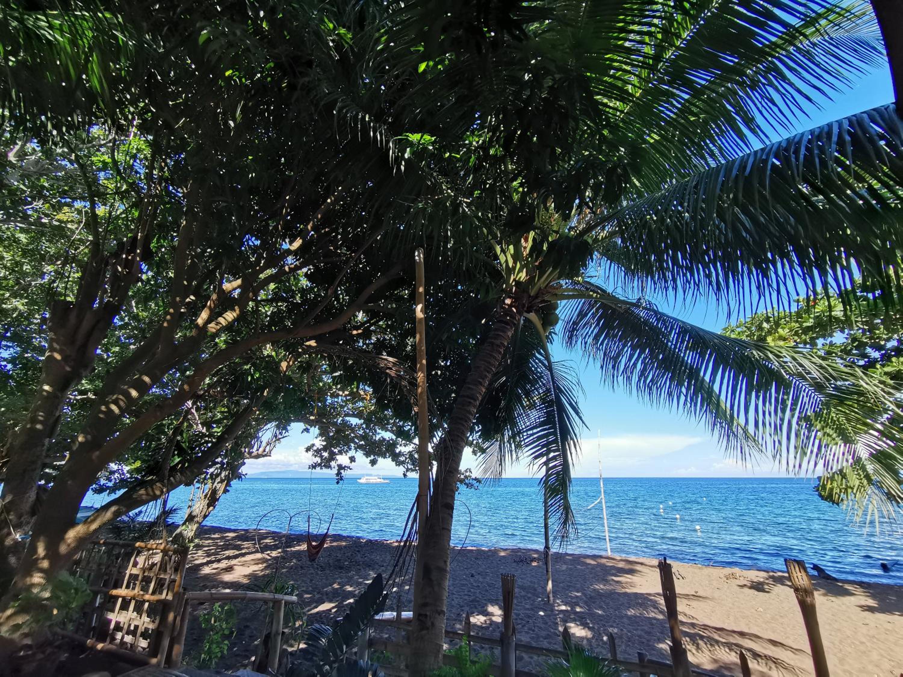 Beachfront Glamping Dome Dauin Bamboo Style