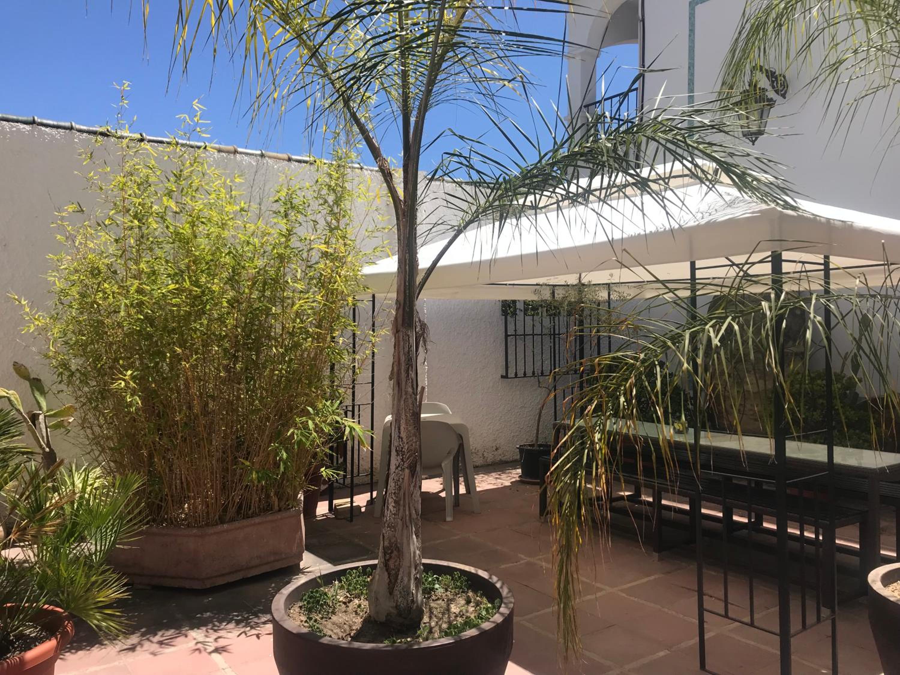 Bonito alojamiento en Malaga con piscina para teletrabajo