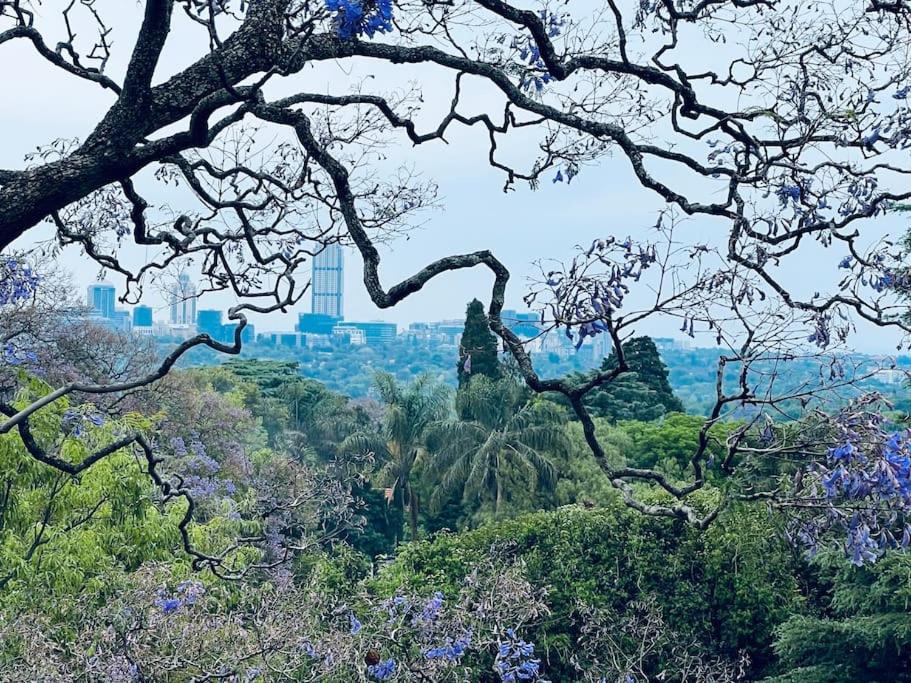 City Sky Line View .Melrose,Rosebank ,Sandton