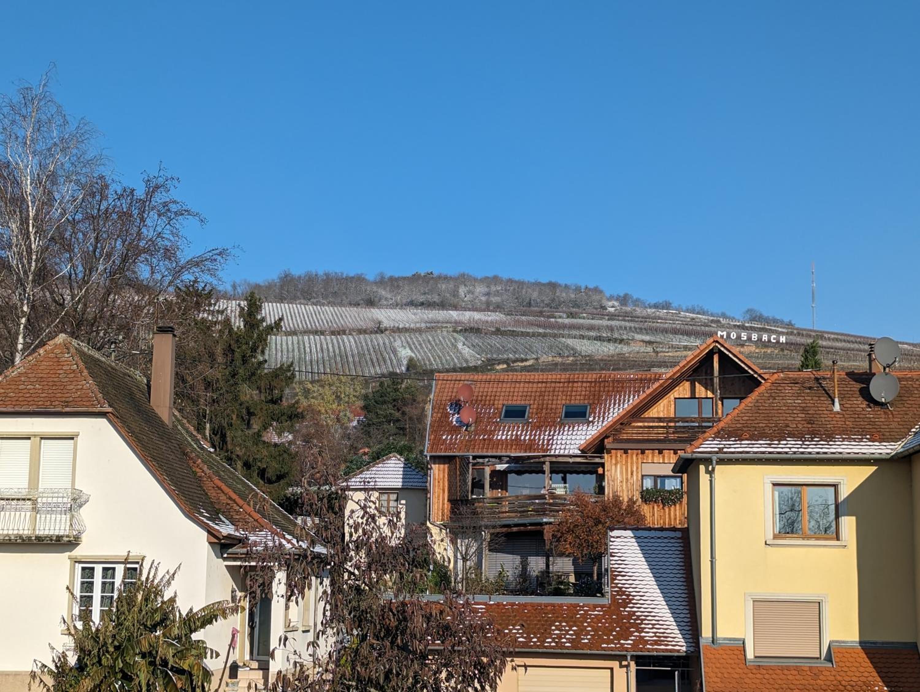 Le Cosy Logement neuf 20min Strasbourg
