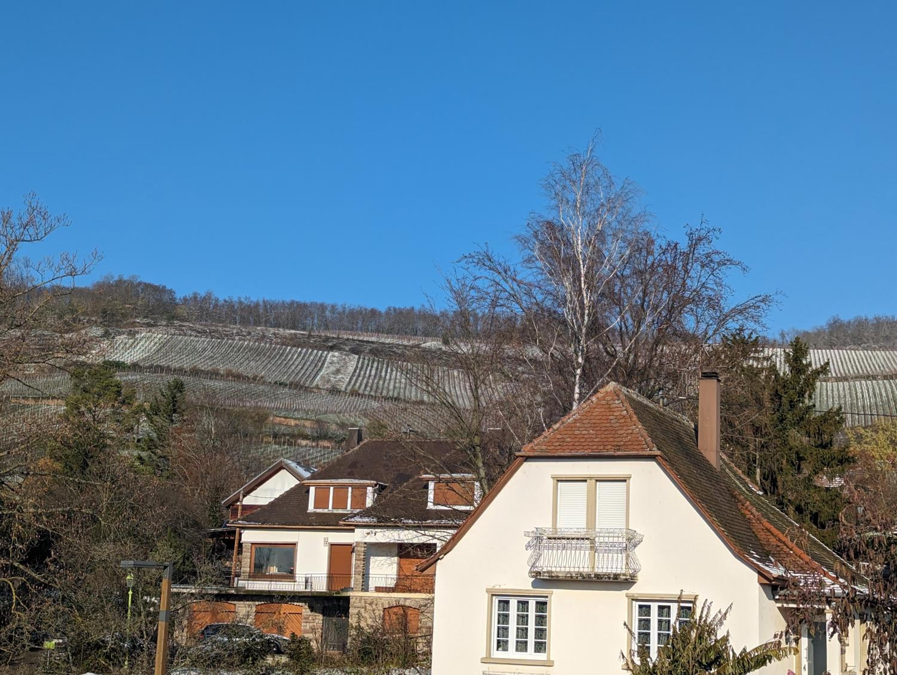Le Cosy Logement neuf 20min Strasbourg