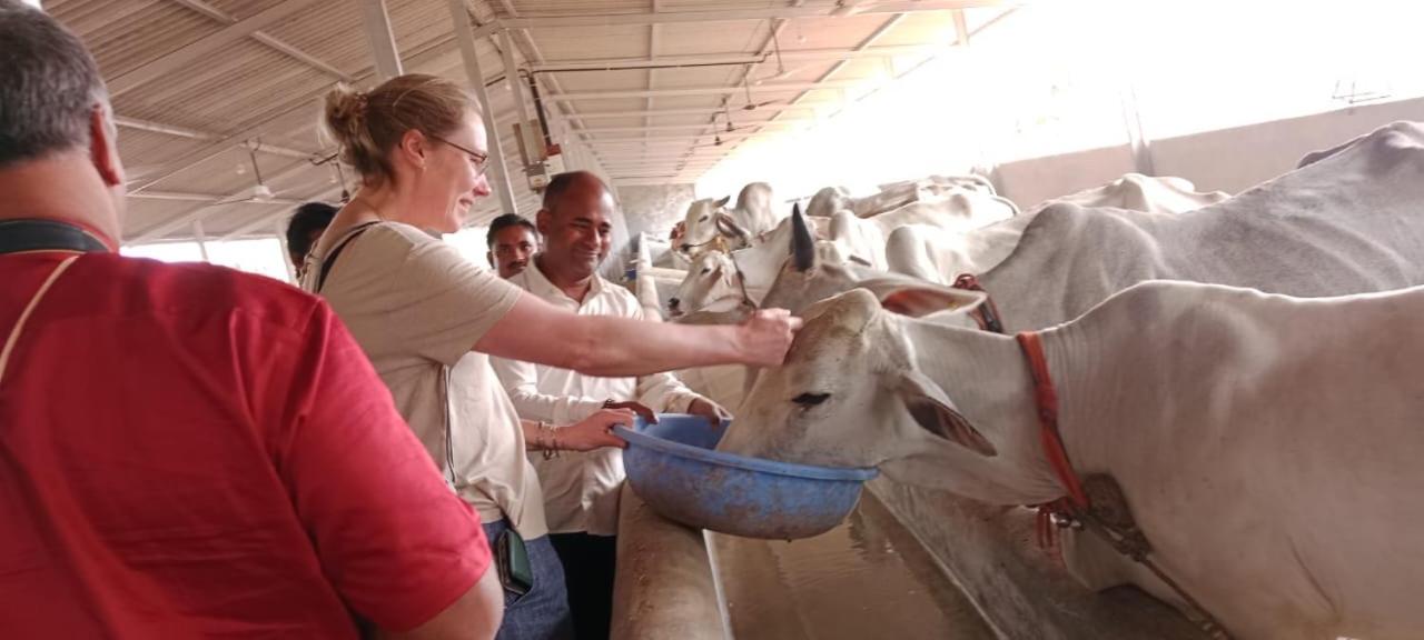 Bendre's Farm Stay-Neral