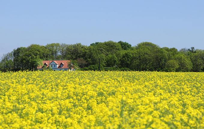 Windlandhaus ehemaliges Herrenhaus Nobbin