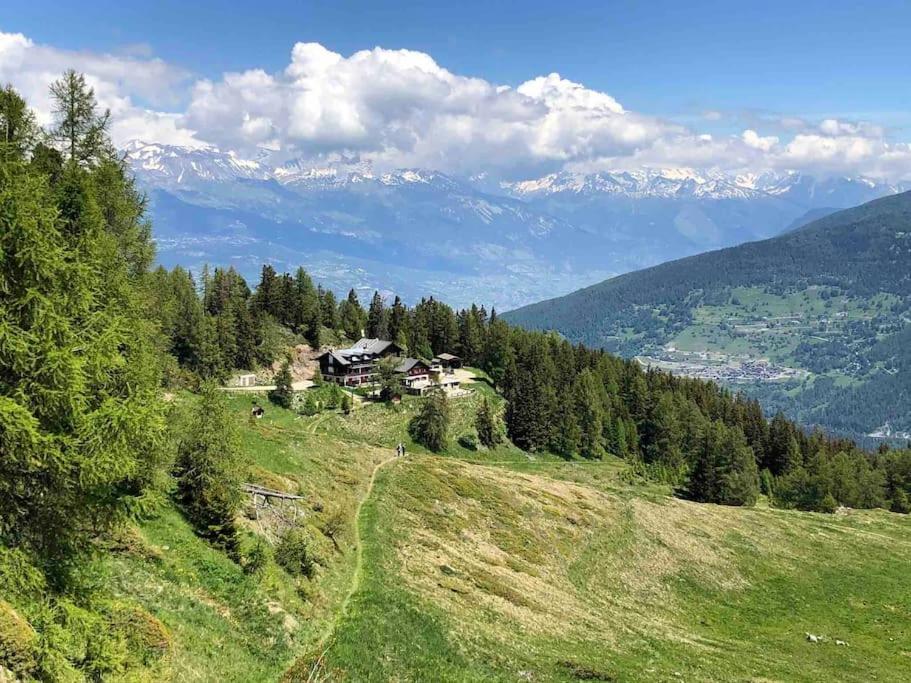 Marvellous apartment with view on the Alps!