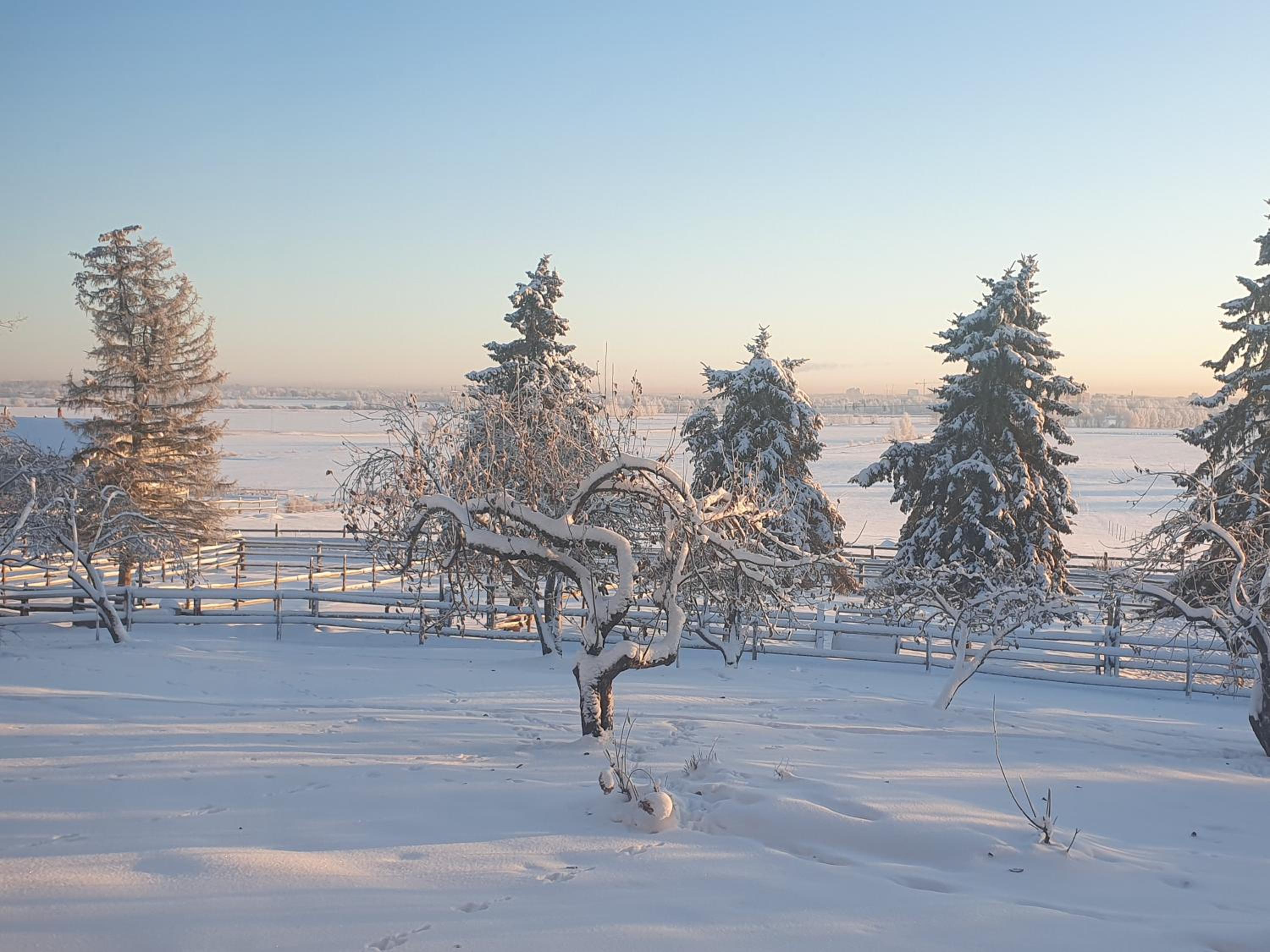 Siirilän tila view 5