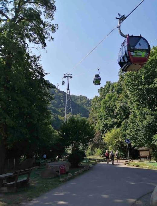 Ferienwohnung *Harz Raum*