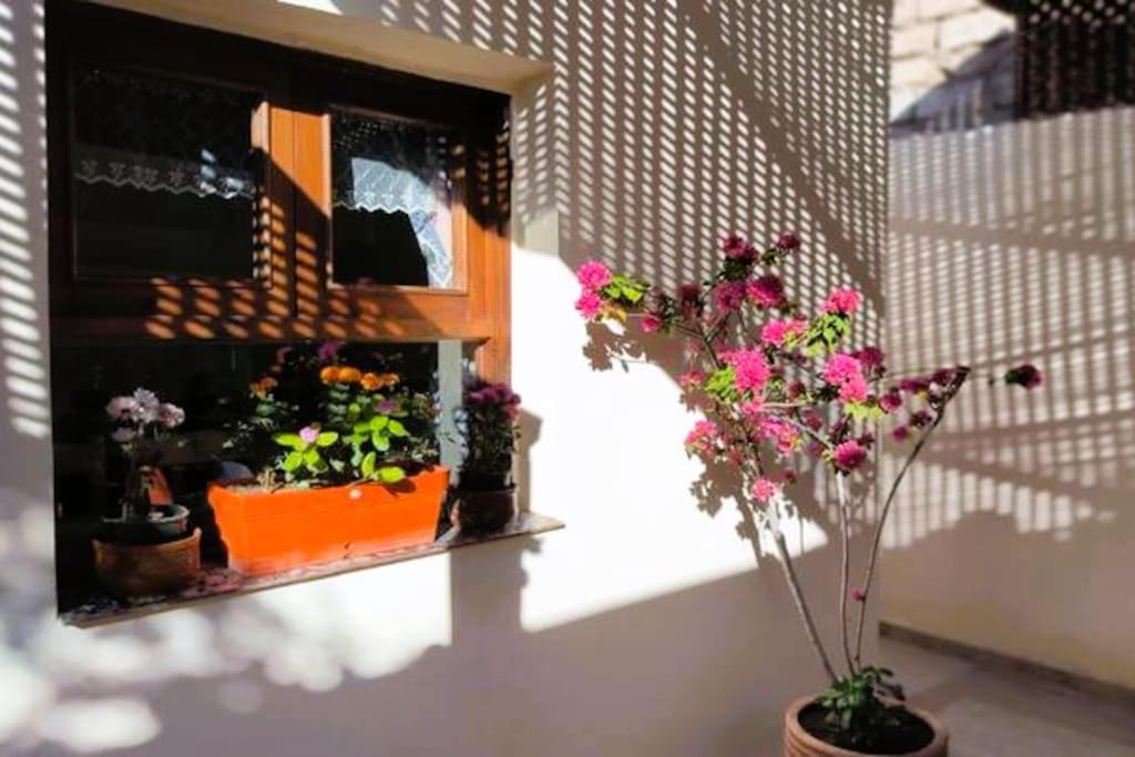 Shanti Garden House