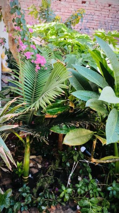 Shanti Garden House