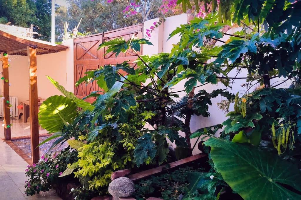 Shanti Garden House