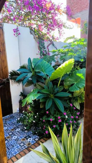 Shanti Garden House
