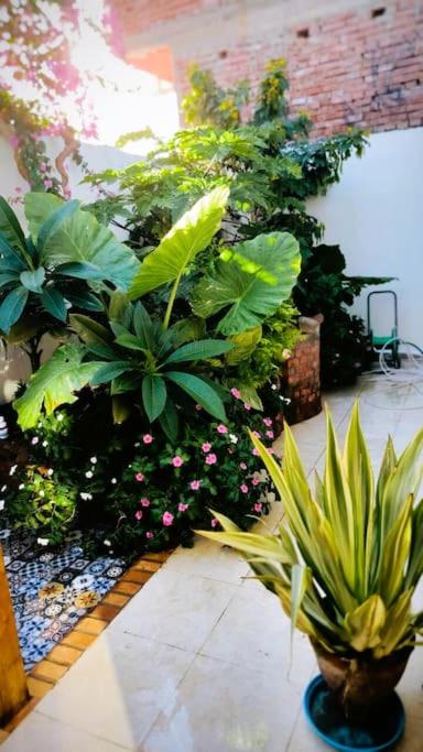 Shanti Garden House
