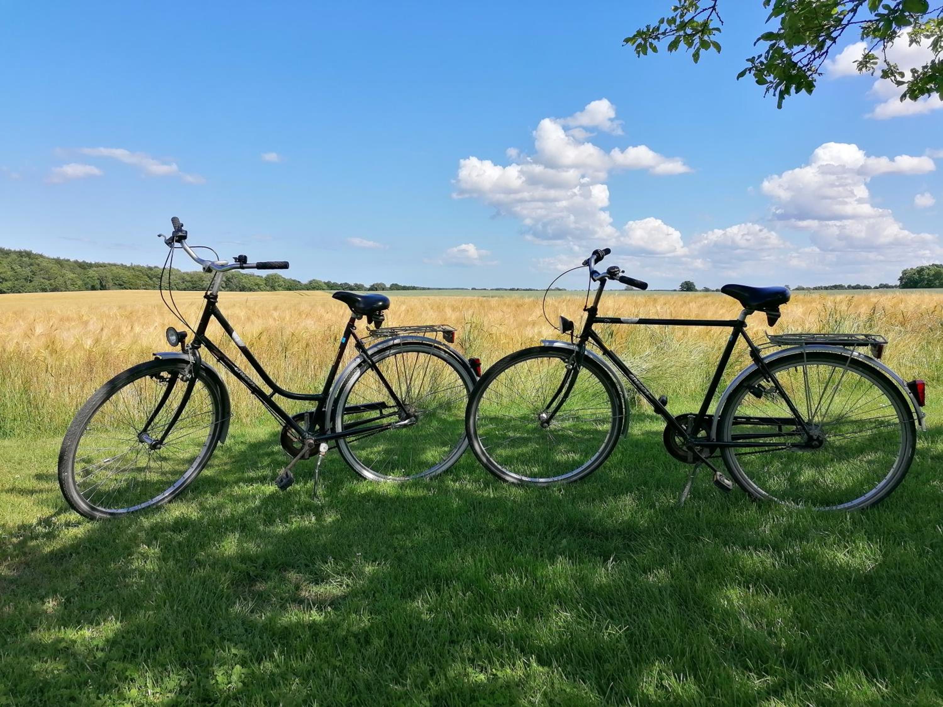 Ferienwohnung Fernblick