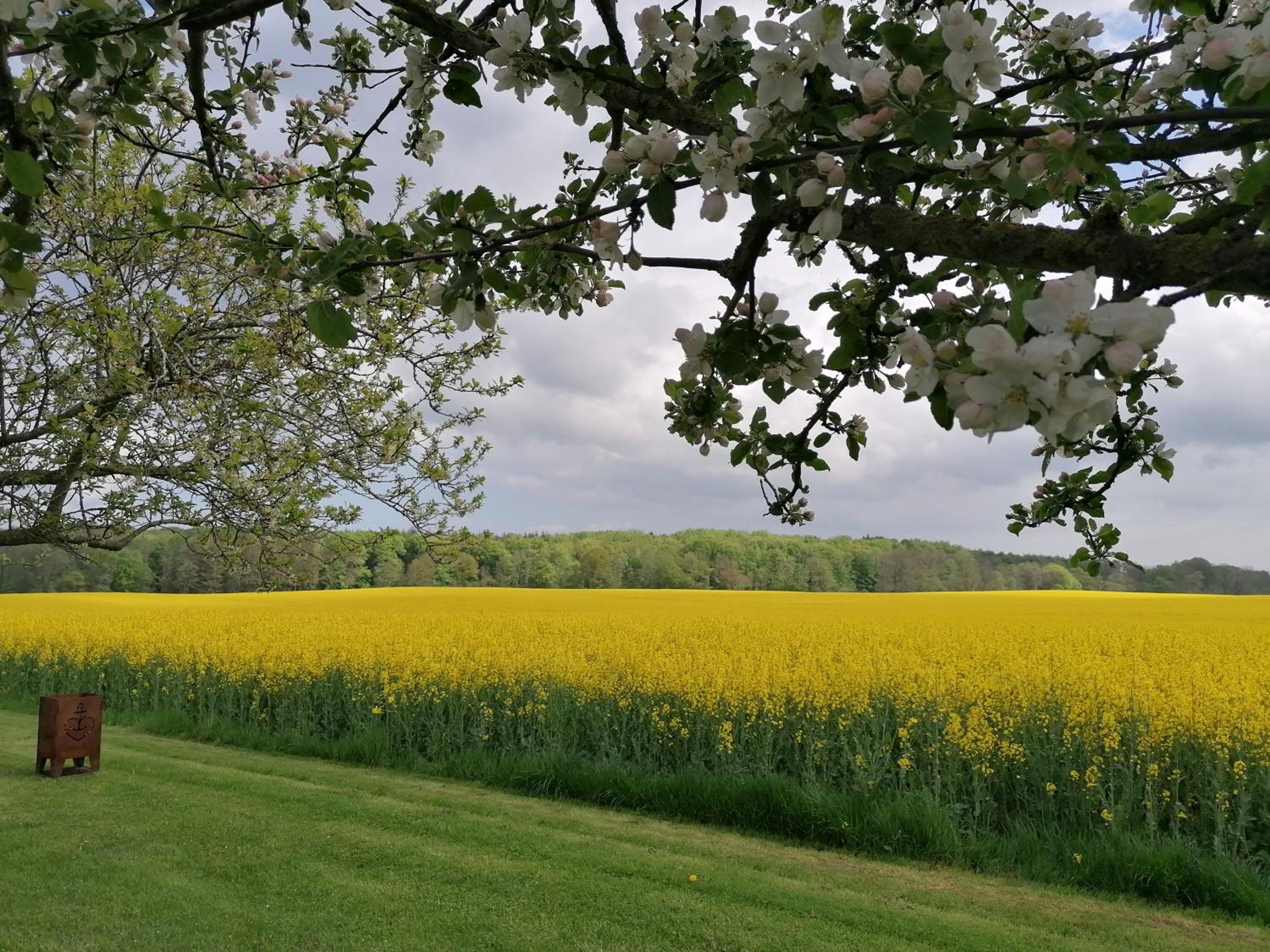 Ferienwohnung Fernblick